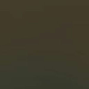 Meet your Posher, Kaylee